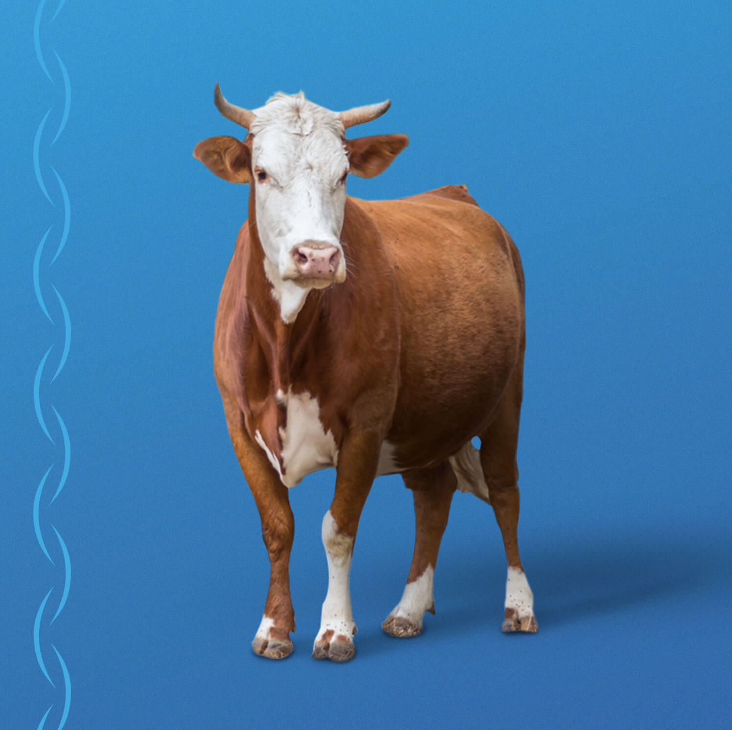 promo-banner-image